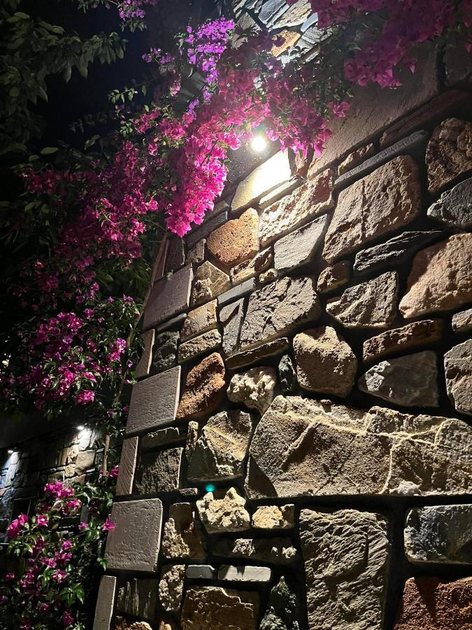 אגיוס ניקולאוס Villa Anna מראה חיצוני תמונה